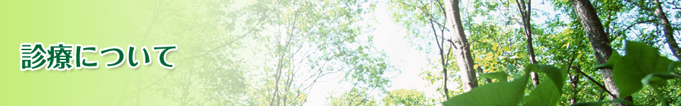 診療について