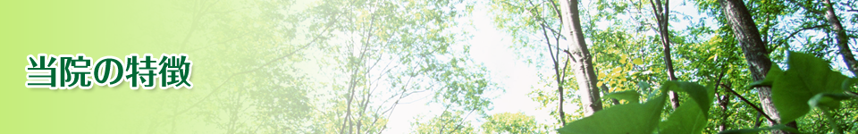 当院の特徴