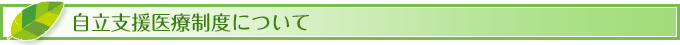 自立支援医療制度について