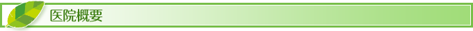 医院概要